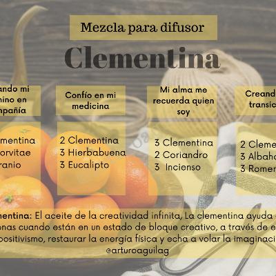 Clementina ” El aceite de la creatividad infinita”