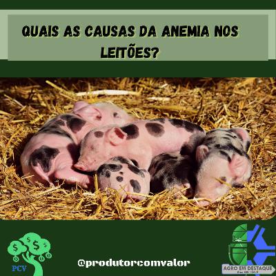 Slow Sessions Exklusv Weekend Mix By HitsBlunt (ZA) Slow Sessions Exklusv Weekend Mix By HitsBlunt (ZA)