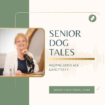 Senior Dog Enrichment vs. True Joy: Finding What Your Dog Loves Most