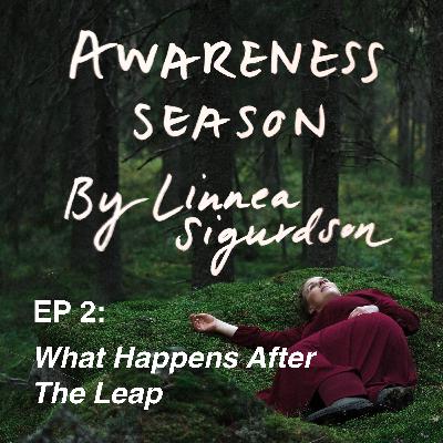 #2: What Happens After the Leap #2: What Happens After the Leap