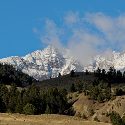 This Week in Yellowstone: November 27th to December 3rd, 2025