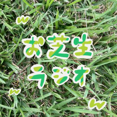 ブリッジと来世なりたいもの