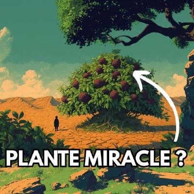 J'ai trouvé la plante qui va changer le monde ! Ronce sans épine ?