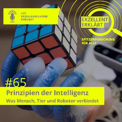 Prinzipien der Intelligenz – Was Mensch, Tier und Roboter verbindet