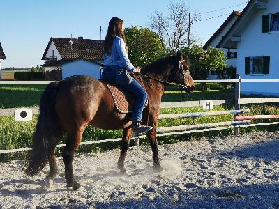 Folge 11: Reitweisen