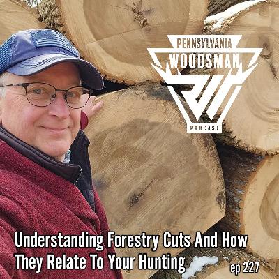 Understanding Forestry Cuts and How They Relate to Your Hunting