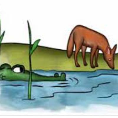 EL COYOTE Y EL COCODRILO