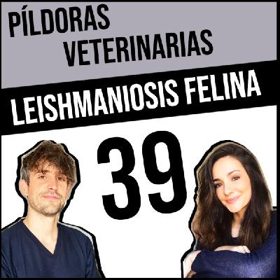 39. Leishmaniosis felina