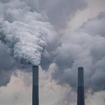 Neuer UN-Report - Umweltkrisen schaukeln sich weiter hoch