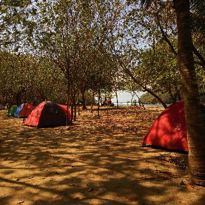 Disorderly Behaviour in Cities - Criminalize Promotion of Terrorism - Firing Bad Politicians?