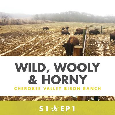 Wild, Wooly, and Horny