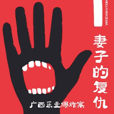 E92 妻子的复仇：广西乐业爆炸案