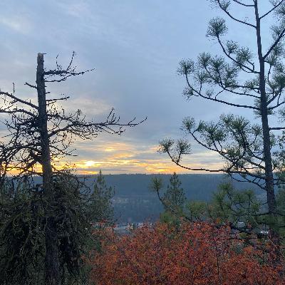 1.242😇Broken Halos cover