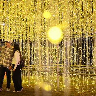 11月5日9時 国内・文化のニュースまとめ