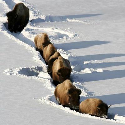 John Reynolds: Growing Up in the Parks John Reynolds: Growing Up in the Parks