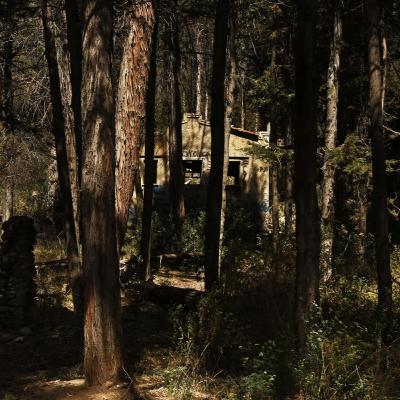 Bosquecillo de Pura Pura, el refugio de duendes y tesoros