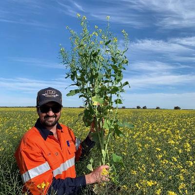 Senior Diesel Mechanic (Warakirri Cropping)