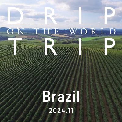 DRIP TRIP通信vol.47 【2024.11】 Brazil編
