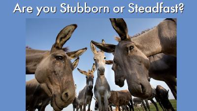 Are you Stubborn or Steadfast? - Audio