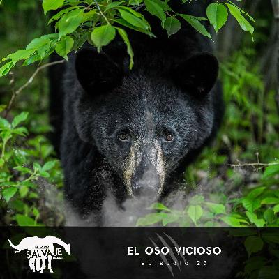 El Oso Vicioso