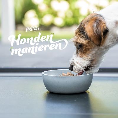 Afl. 17: Dit moet je weten over het voeden van je hond!