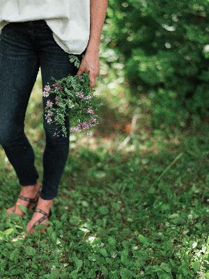 PPP 29: Permaculture Luminary Mark Shepard on Lessons of Nature, Perennials, STUN method & Principles for Life/Land Restoration