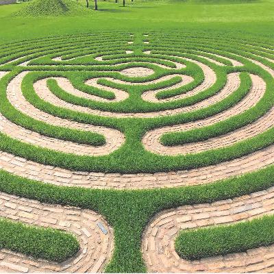 Im Labyrinth des Lebens