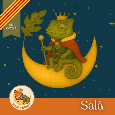 Salà, el camaleó que volia ser rei | Conte infantil i meditació guiada per dormir