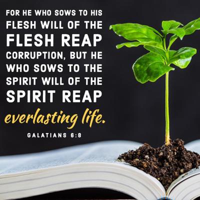 Gal 6:8 - Spoiler Alert! Flesh Loses In the End.
