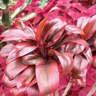 Mengqadha Sholat Mengqadha Sholat