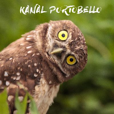 Pilot Bölüm - Bunlar da kimin nesi ? Pilot Bölüm - Bunlar da kimin nesi ?