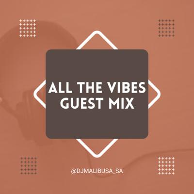 All The Vibes featuring Dj Malibu All The Vibes featuring Dj Malibu