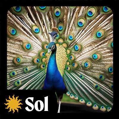 Navigating Inner Tides - Saturday, February 3 Horoscope