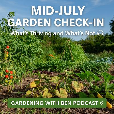 🎧 ✅ 🌱 Mid-July Garden Check-In: What’s Thriving and What’s Not 🌿 | Honest Allotment Update 🎧