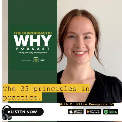 The 33 principles in practice.