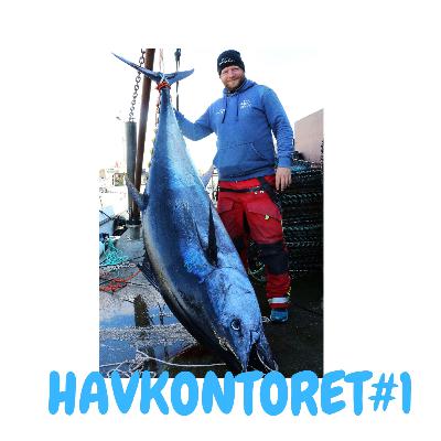 Havkontoret episode 1 - Endre Hopland