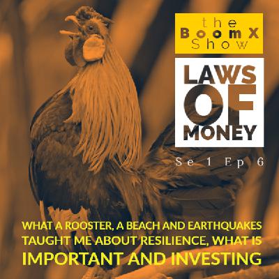 What a rooster, a beach and earthquakes taught me about resilience, what is important and investing What a rooster, a beach and earthquakes taught me about resilience, what is important and investing