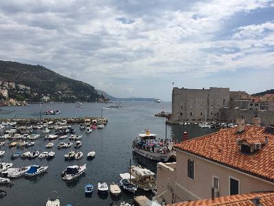 Optic Echo Presents 11/22/22