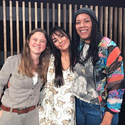 Ekkokammer #20: SOSIALE MEDIER Ekkokammer #20: SOSIALE MEDIER