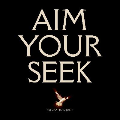 Aim Your Seek [Saturated & Sent]
