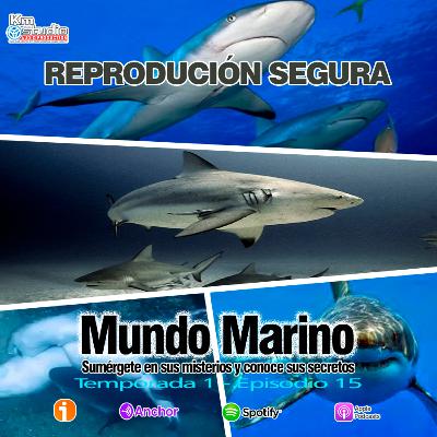 REPRODUCCIÓN SEGURA