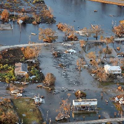 Hurricanes and Forest Fires. Global Warming?