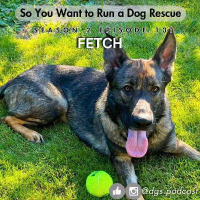 2.13: To Fetch or Not to Fetch, and Dog Rescue Revelations