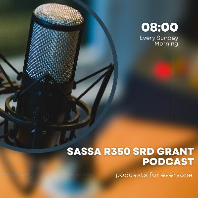 Navigating Your SASSA R350 SRD Grant: Status Checks Made Easy