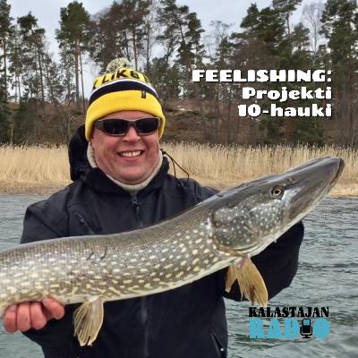 Projekti 10-hauki