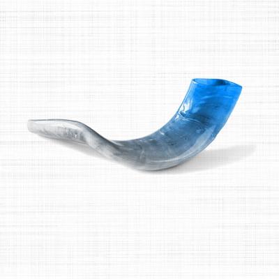 12.10.2025 - זכות הציבור עם נתיב רובינזון