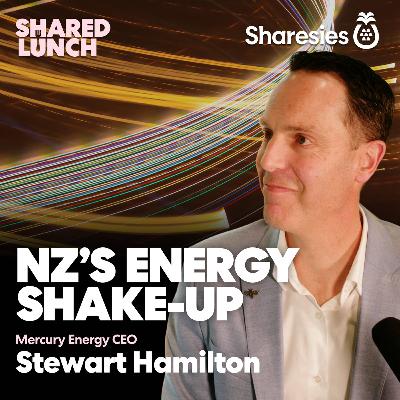 What’s going on with NZ's power grid?