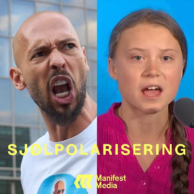 SJØLPOLARISERING#6: Kjønnskrigen