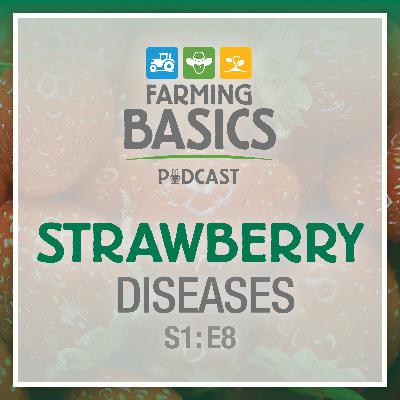 Season 1 Episode 8 – Strawberry Diseases