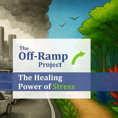The Healing Power of Stress The Healing Power of Stress